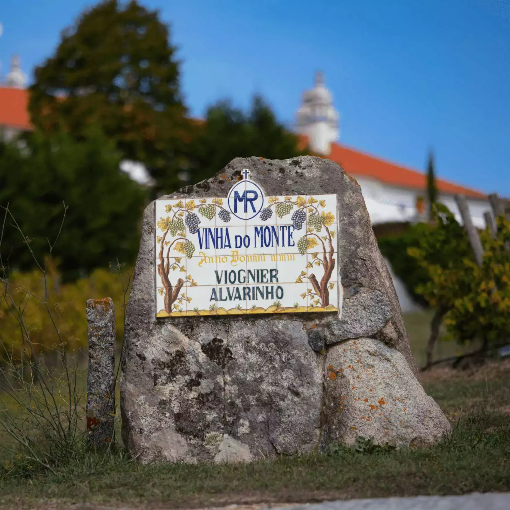 Ravasqueira Castas