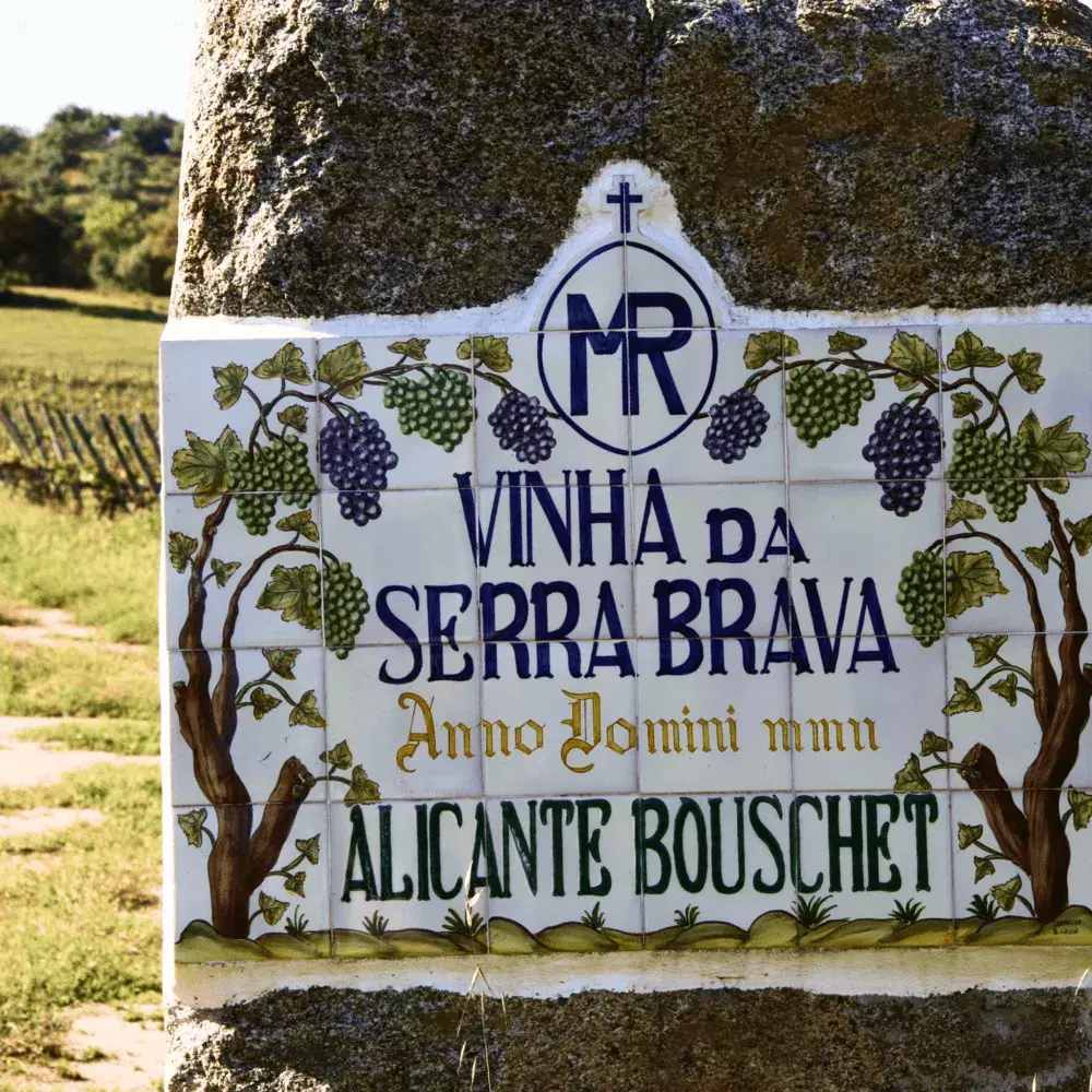 Vinha da Serra Brava