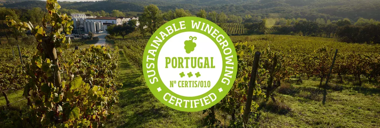 certificado-sustentabilidade