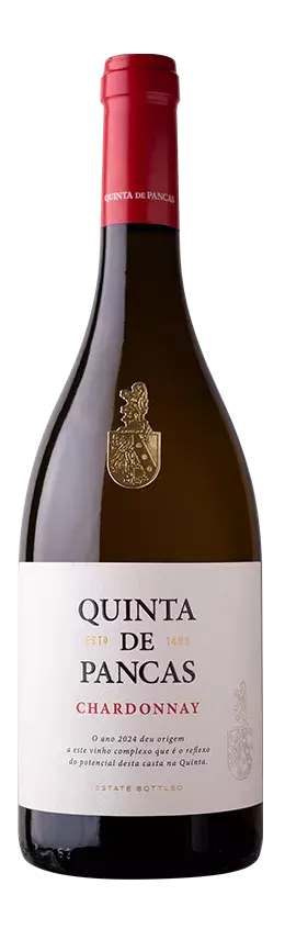 chardonnay-pancas
